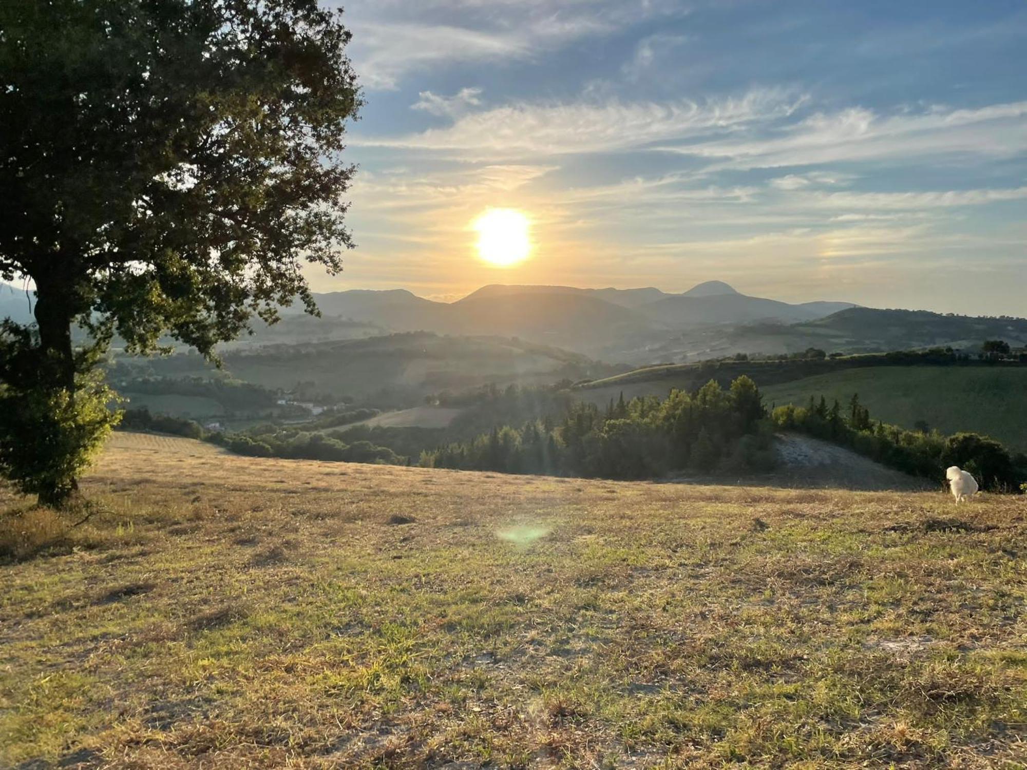 Agriturismo Villa Rosetta San Severino Marche Εξωτερικό φωτογραφία