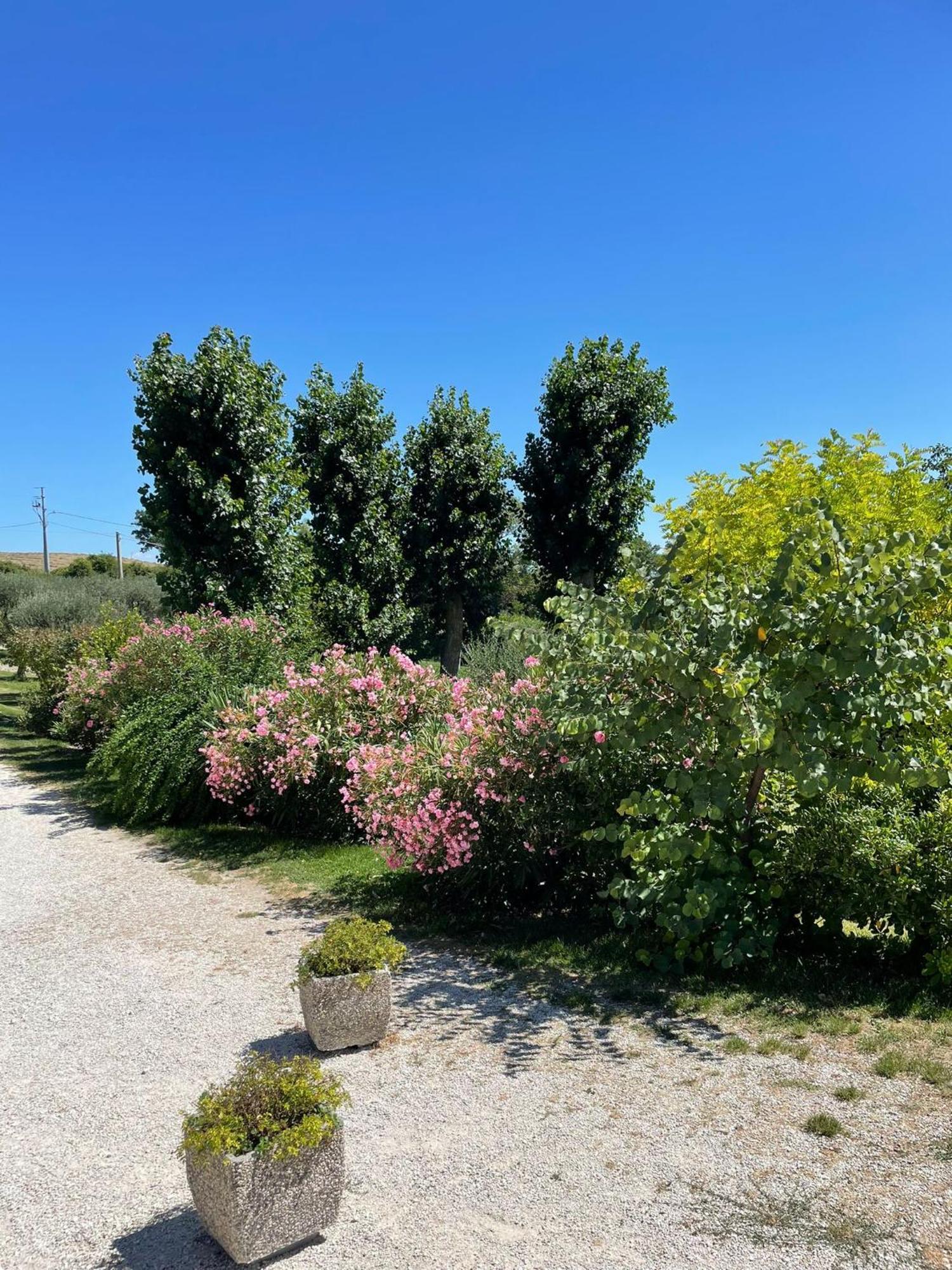 Agriturismo Villa Rosetta San Severino Marche Εξωτερικό φωτογραφία