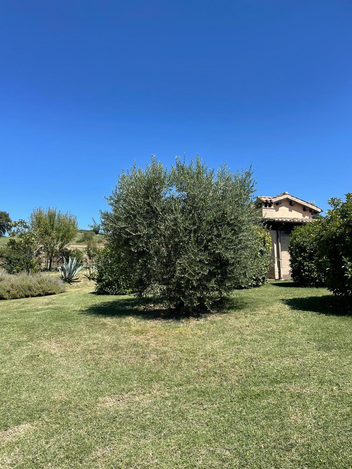 Agriturismo Villa Rosetta San Severino Marche Εξωτερικό φωτογραφία