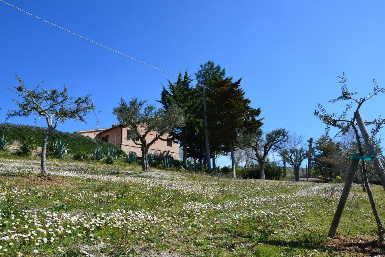 Agriturismo Villa Rosetta San Severino Marche Εξωτερικό φωτογραφία