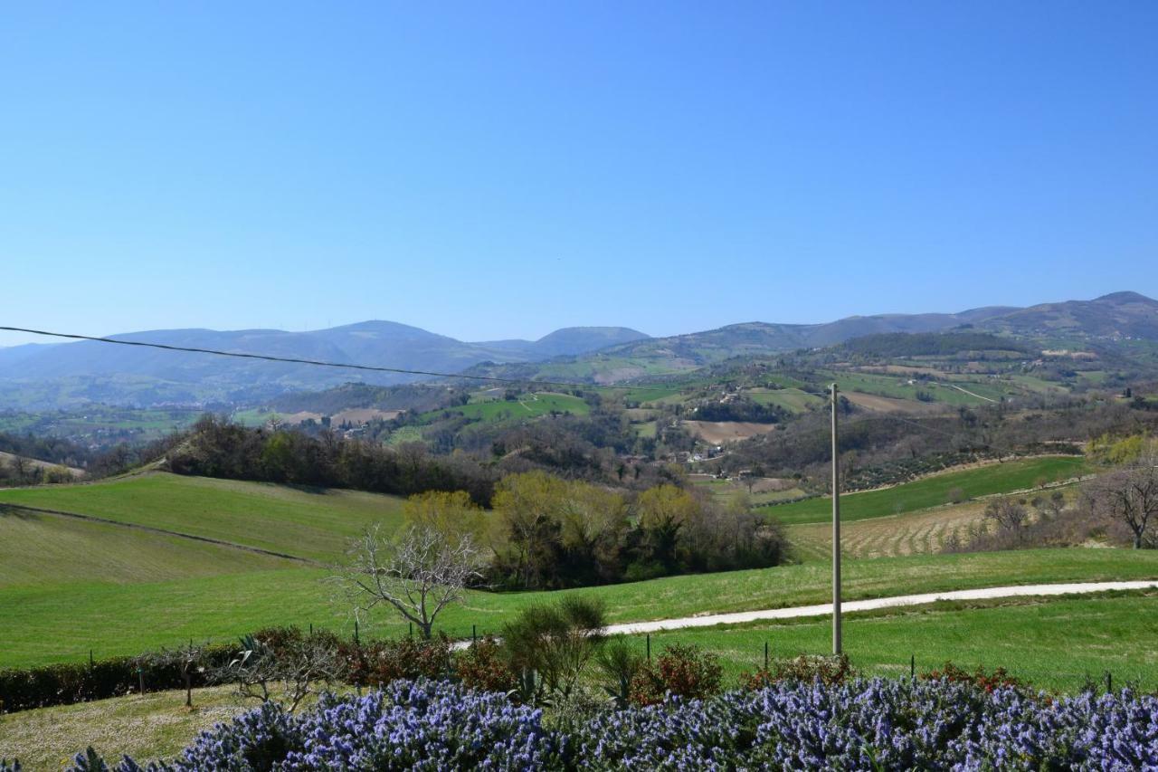 Agriturismo Villa Rosetta San Severino Marche Εξωτερικό φωτογραφία